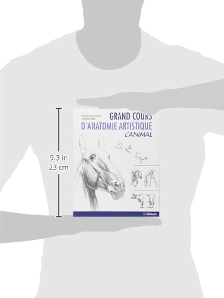 Amazon.co.jp: Grand cours d'anatomie artistique : L'animal : 本
